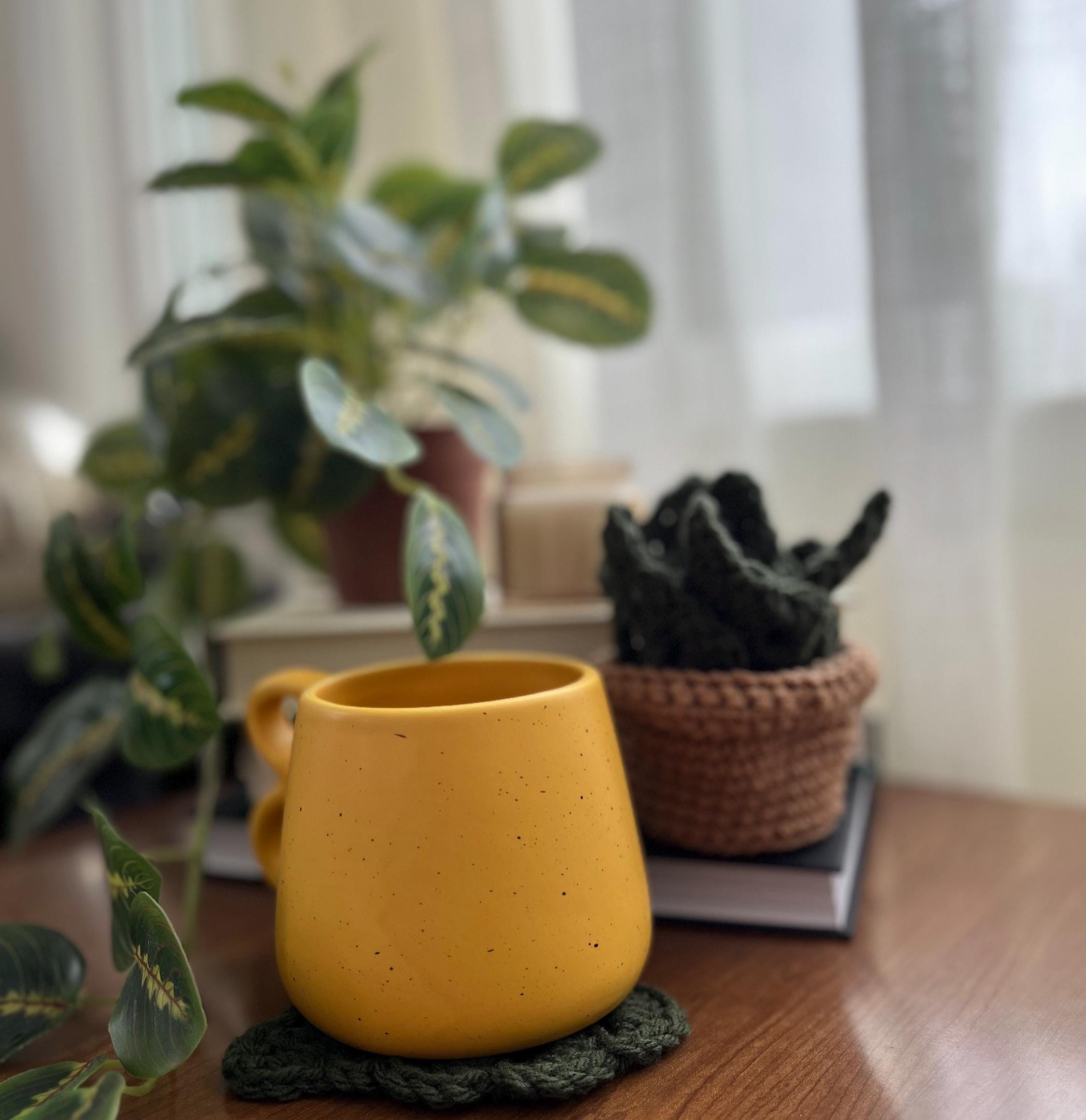 Crochet Monstera Coasters: Handmade Plant Coaster Set
