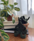 Crochet Monstera Coasters: Handmade Plant Coaster Set