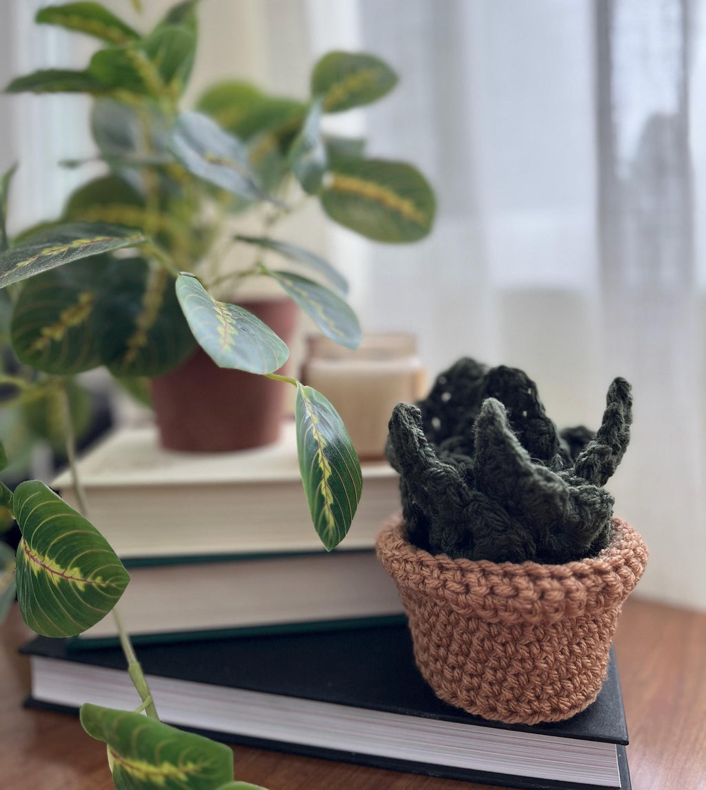 Crochet Monstera Coasters: Handmade Plant Coaster Set